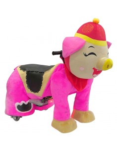 Blij Festeelijk Roze Vark...