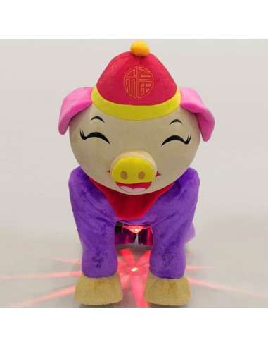 Blij Festeelijk Roze Vark Pluche... Blij Festeelijk Roze Vark Pluche...