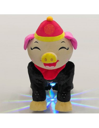 Blij Festeelijk Roze Vark Pluche... Blij Festeelijk Roze Vark Pluche...