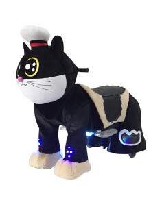 Kat met Kapitein Hoed...